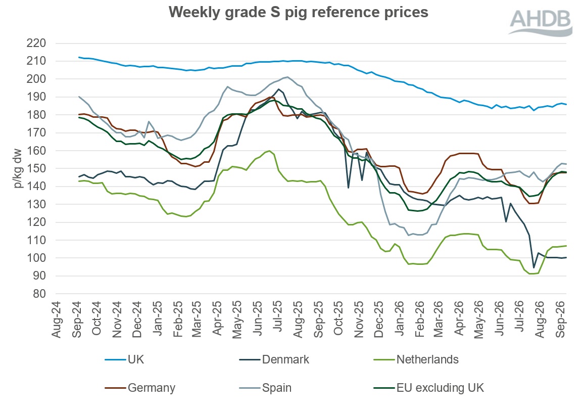 Line graph of EU grade S pig prices for two years up to 13 September 2026.
